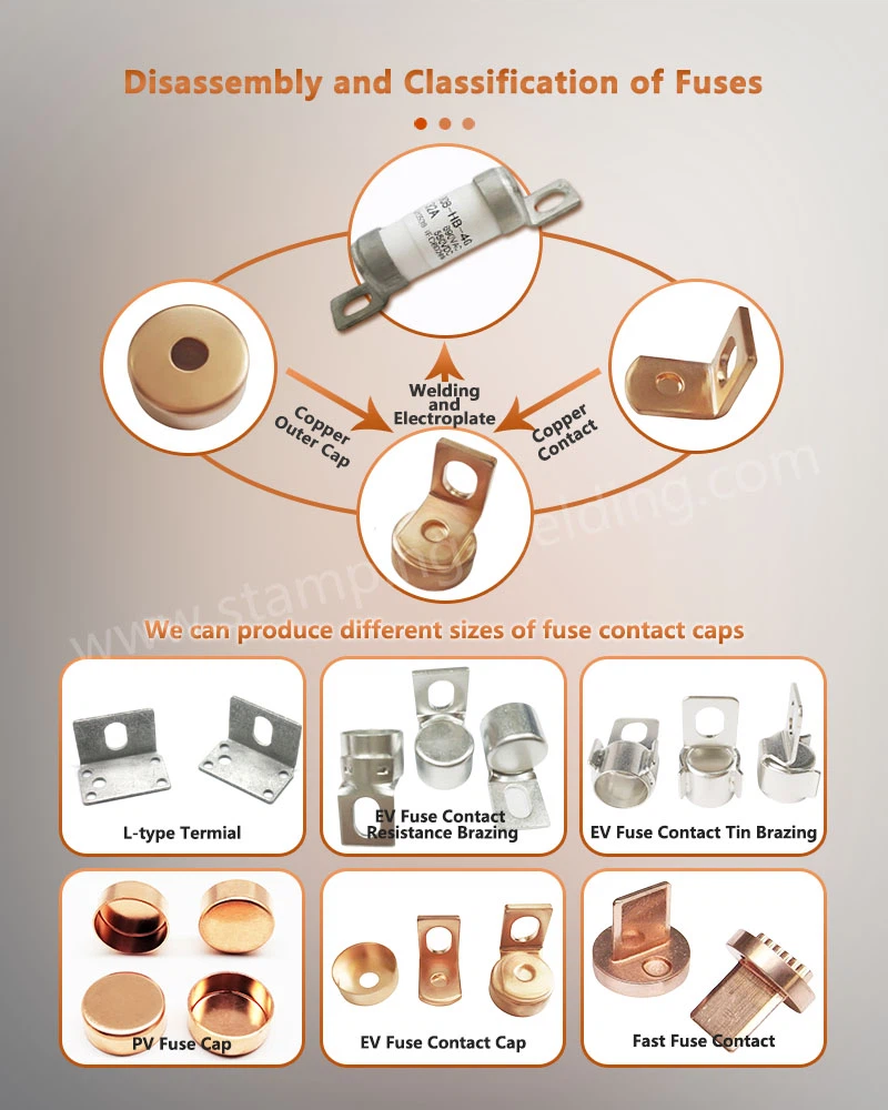 Disassembly and Classification of Fuses Disassembly and Classification of Fuses